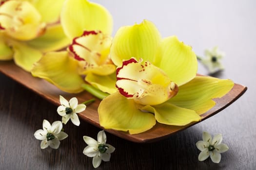 orchid flowers in wooden bowl 