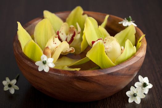 yellow orchids in bowl