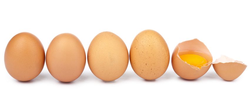 eggs in a row isolated