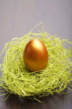 golden easter egg in nest