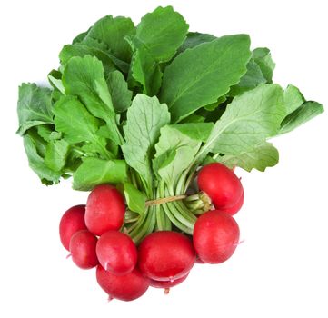 fresh radish isolated 