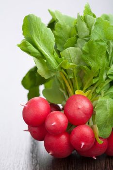 fresh radish 