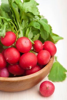 fresh radish