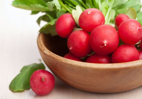 fresh radish 