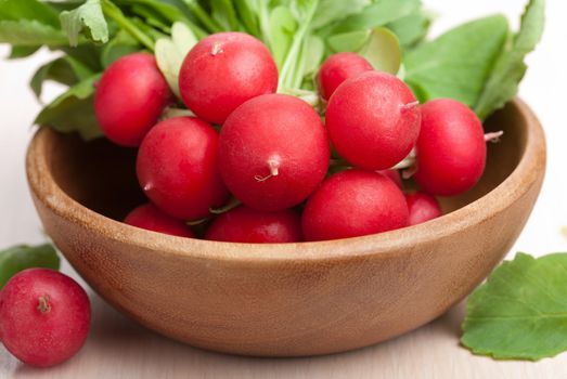 fresh radish 