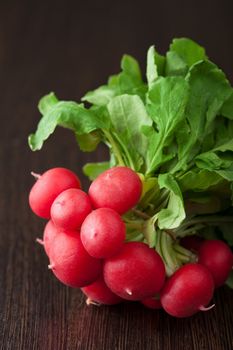 fresh radish