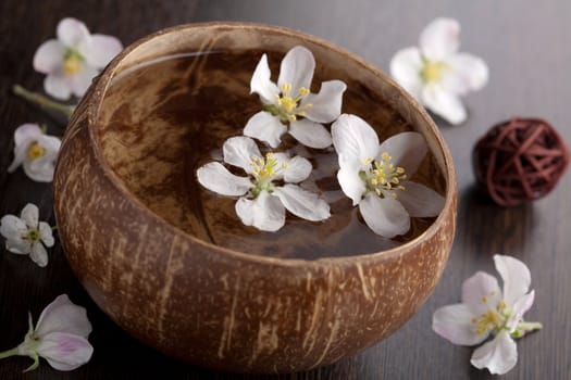 white flowers in bowl