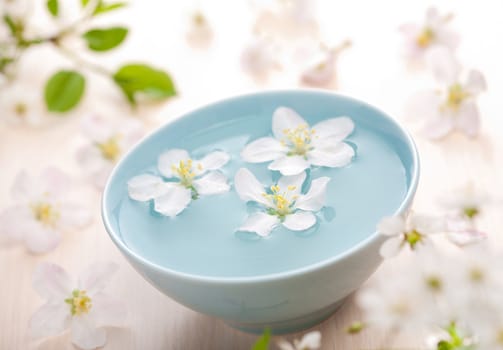 white flowers in bowl