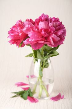 peony flowers