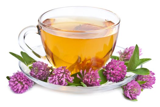 herbal tea and clover flowers isolated