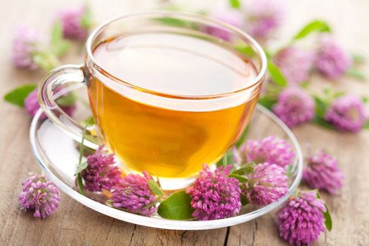 herbal tea and clover flowers