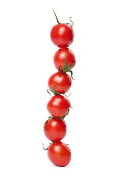 line of tomatoes isolated 