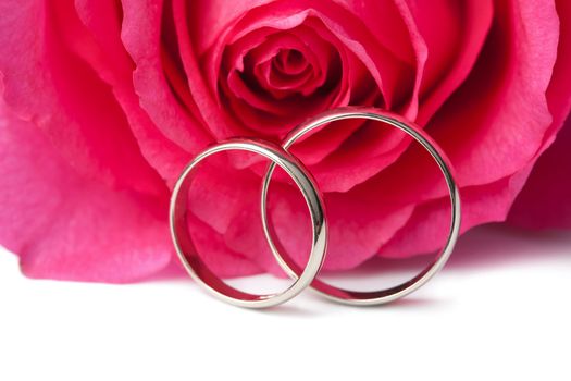 Gold wedding rings and pink rose isolated 