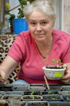 An elderly woman takes care of the seedlings