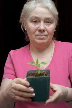 An elderly woman holding a pot with a sapling
