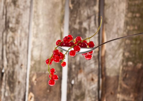 tasty ripe and juicy red currant over wooden plank background