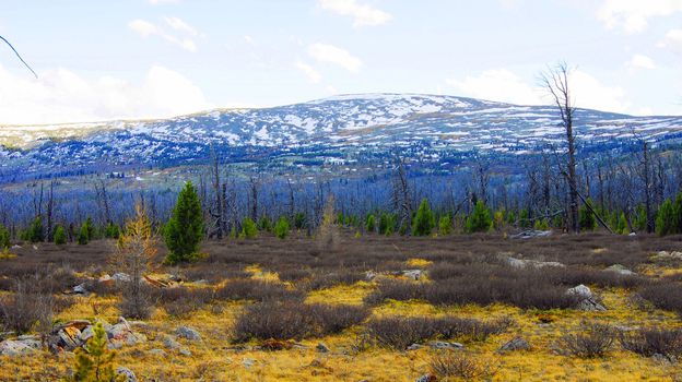 Primordial mountain landscape by springtime