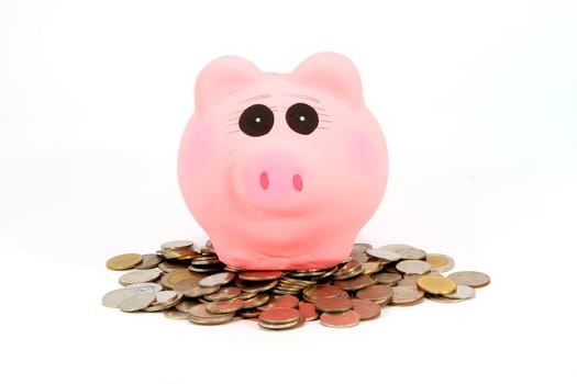 Pink Piggy Bank on isolated on white background with coins