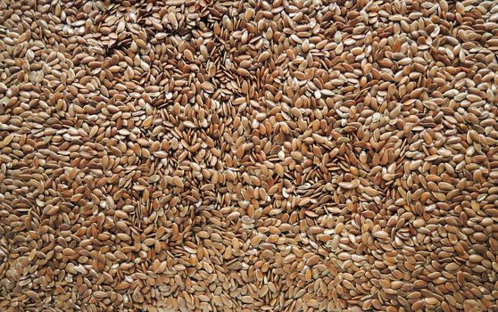 Linseed, Lin seeds background