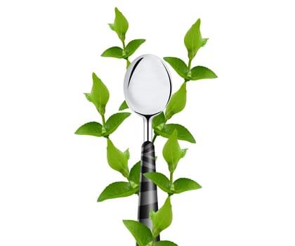 green leaves around spoon isolated on white background.