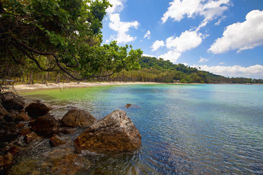 Untouched nature in El Nido, Palawan, Philippines