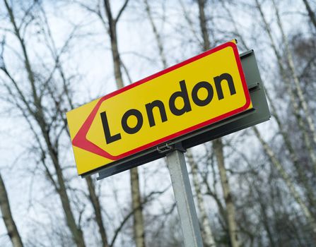 London Road Sign in the forest