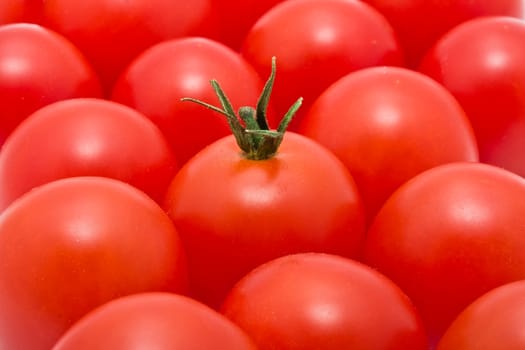 Red tomatos background