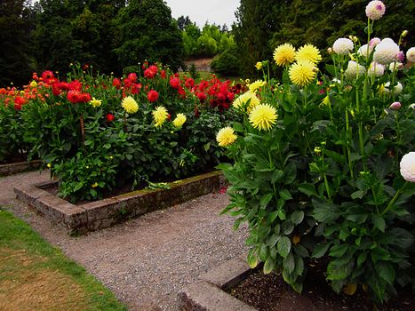 A photograph of a flower garden located at a public park.