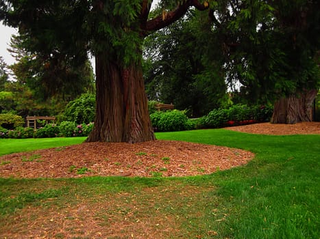 A photograph of a flower garden located at a public park.