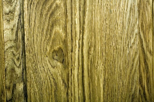 Old wooden texture, close up