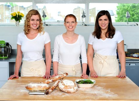 Group of young beautiful professional chefs portrait in industrial kitchen