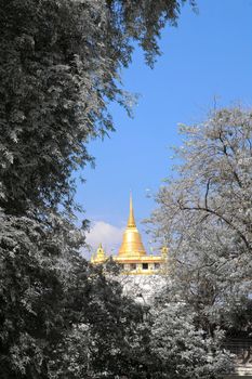 Golden Mount and Wat Saket,Thailand