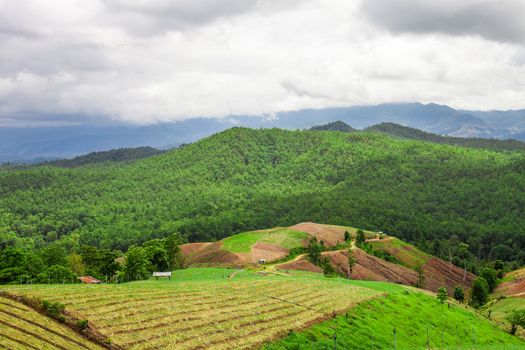 mountain valley of northern Thailand  in cloudy weather