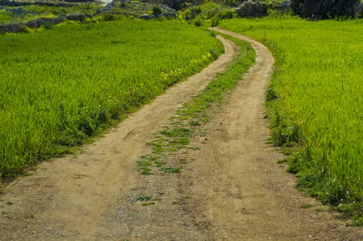 Winding Road in the countryside