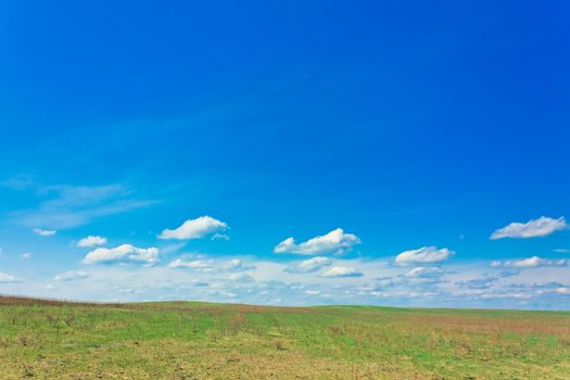 Green field and blue sky