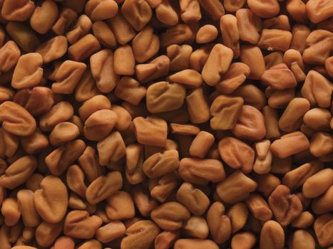 close up of fenugreek seeds food background