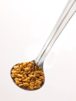 close up of a spoonful of fenugreek seeds