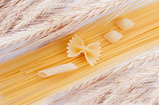 Wheat and some kinds of spaghetti and macaroni