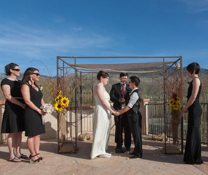 Committed young lesbian couple in civil union outdoors