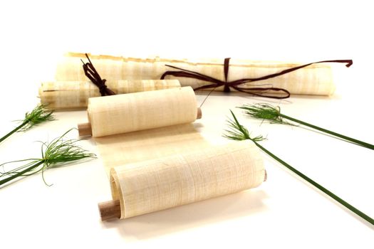 yellowed papyrus scrolls with papyrus on a light background