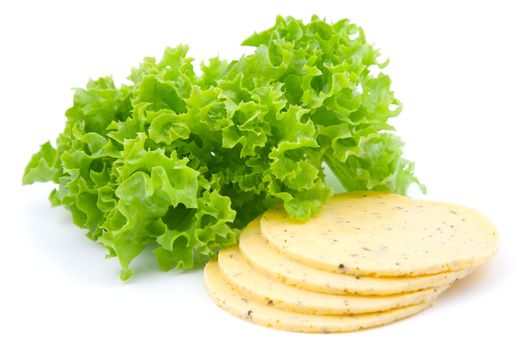 cheese with green salad lettuce, on white