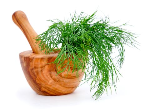 wooden mortar with dill, on white background