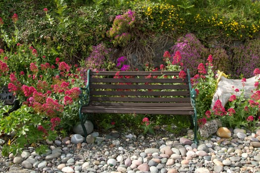A metal framed wooden slat bench on pebbles with flowering plants surrounding.