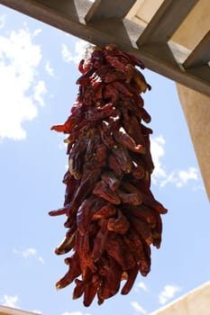 Red chili ristras against a blue sky, with copy space.