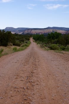 Endlessly long straight red dirt road heading towards mountains and a blue sky ahead with brush and desert plants either side - with copy space.