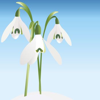 Spring background with snowdrop