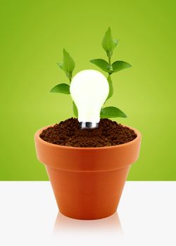 modern energy-saving concept, bright bulb in garden pot with small plant.