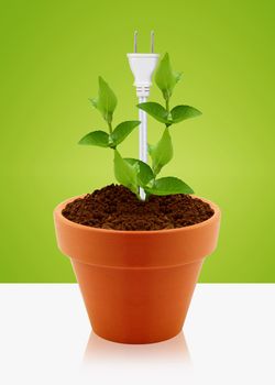 modern energy-saving concept, bright bulb in garden pot with small plant.