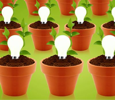 modern energy-saving concept, bright bulb in garden pot with small plant.