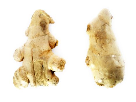 Fresh Ginger root on a white background